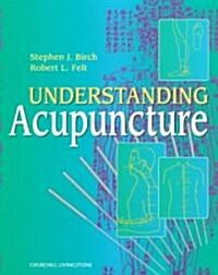 Understanding Acupuncture (Paperback)