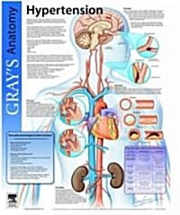 Hypertension (Chart)