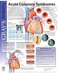 Grays Anatomy (Chart)