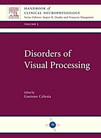 Disorders of Visual Processing (Hardcover)