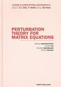 Perturbation Theory for Matrix Equations (Hardcover, New)
