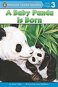 A Baby Panda Is Born (Paperback)