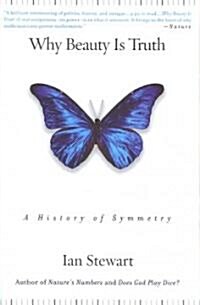 [중고] Why Beauty Is Truth: A History of Symmetry (Paperback)