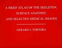 [중고] A Brief Atlas of the Human Skeleton, Surface Anatomy and Selected Medical Images (Paperback)