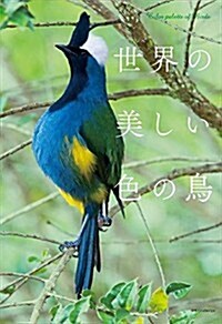 世界の美しい色の鳥 (單行本(ソフトカバ-))