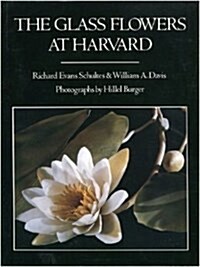 The Glass Flowers at Harvard (Hardcover, 1st)