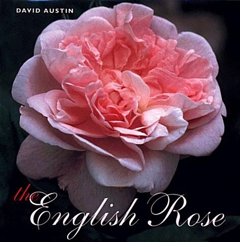 The English Rose (Hardcover)