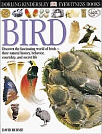 [중고] Eyewitness: Bird (Hardcover, 1st)