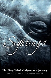 Sightings: The Gray Whales Mysterious Journey (Adventure Press) (Hardcover)