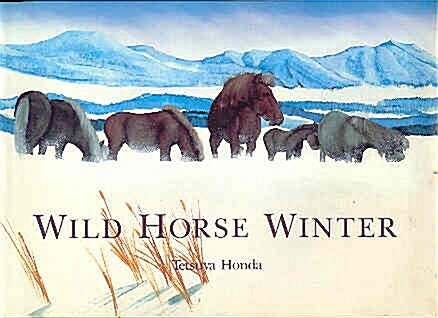 Wild Horse Winter (Hardcover, 0)