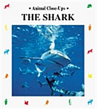 The Shark: Silent Hunter (Animal Close-Ups) (Paperback)