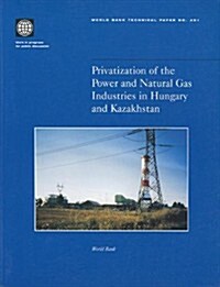 Privatization of the Power and Natural Gas Industries in Hungary and Kazakhstan (Paperback)