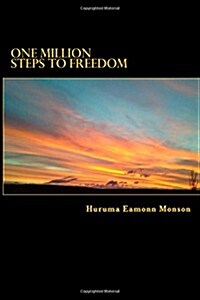 One Million Steps to Freedom: Camino to Santiago de Compostella 2011 (Paperback)