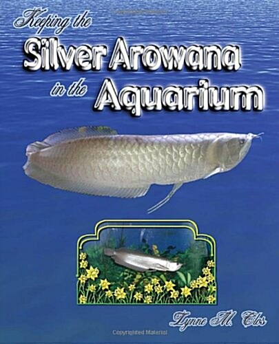 Keeping the Silver Arowana in the Aquarium (Paperback)