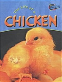 Raintree Perspectives: Life Cycles - the Life of a Chicken (Hardcover)