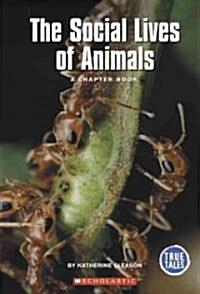 The Social Lives of Animals (Paperback)