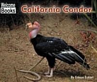 California Condor (Paperback)