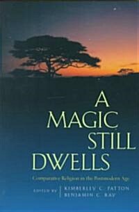 A Magic Still Dwells: Comparative Religion in the Postmodern Age (Paperback)