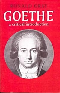 Goethe : A Critical Introduction (Paperback)