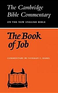The Book of Job (Paperback)