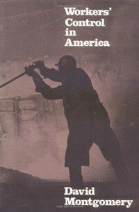 Workers' control in America : studies in the history of work, technology, and labor struggles