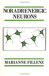 Noradrenergic Neurons (Paperback)