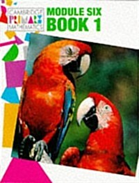 Module 6 Pupils Book 1 (Paperback)