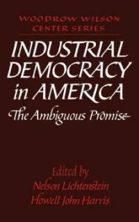 Industrial democracy in America : the ambiguous promise