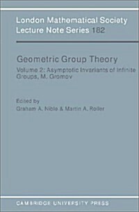 Geometric Group Theory: Volume 2 (Paperback)