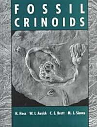 Fossil Crinoids (Hardcover)