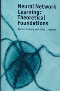 Neural network learning : theoretical foundations