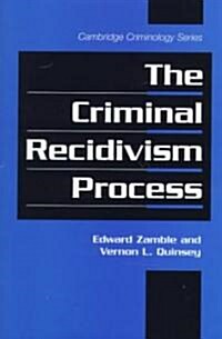 The Criminal Recidivism Process (Hardcover)