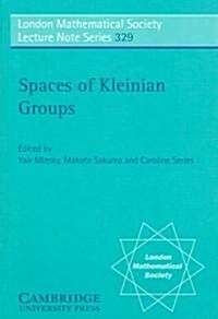 Spaces of Kleinian Groups (Paperback)