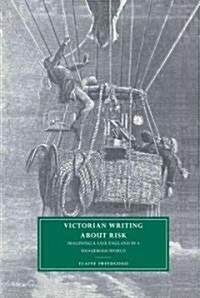 Victorian Writing about Risk : Imagining a Safe England in a Dangerous World (Hardcover)