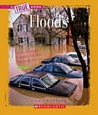 Floods (Library Binding)