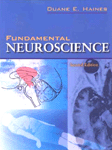 Fundamental neuroscience 2nd ed