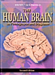 The Human Brain (Paperback, 2nd, Spiral, Subsequent)