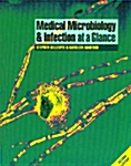 Medical Microbiology and Infection at a Glance (Paperback, 2nd)