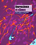 Neuroscience at a Glance (Paperback, 2nd)