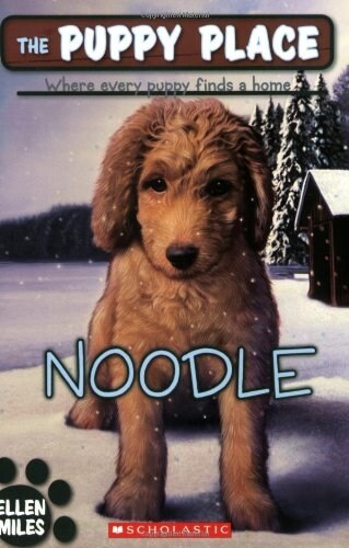 [중고] Noodle (Paperback)