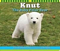 Knut the Baby Polar Bear (Board Book)