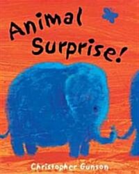 Animal Surprise (Paperback)