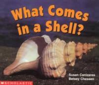 What comes in a shell?