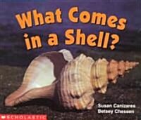 [중고] What Comes in a Shell? (Paperback)