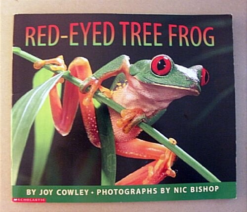 Red-Eyed Tree Frog (Paperback)