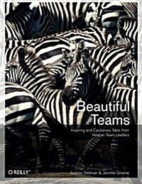 Beautiful Teams (Paperback)