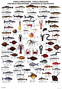 Fish & Shellfish: Type Ff Wallchart (Paperback)