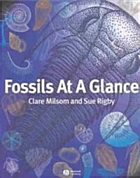 Fossils at a Glance (Paperback)