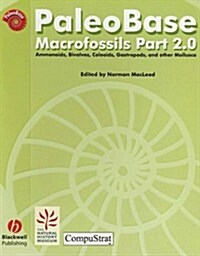 Paleobase: Macrofossils, Part 2 (Site Licence) [With Instruction Booklet] (Other)