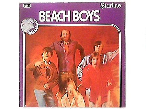 The Beach Boys (Hardcover)